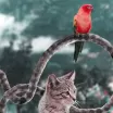Hayvanlar Alemine Bakışınızı Değiştirecek 20 Photoshop Çalışması